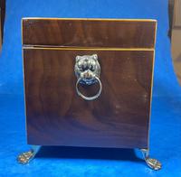 Regency Mahogany Twin Lidded Tea Caddy (4 of 17) Regency Mahogany Twin Lidded Tea Caddy (4 of 17)