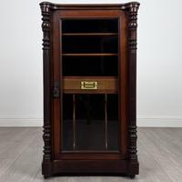 Antique 19th Century Glazed Cabinet In Mahogany
