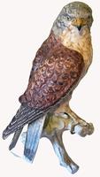 A Porcelain Falcon Eagle Hawk by Goebel of Germany (4 of 7) A Porcelain Falcon Eagle Hawk by Goebel of Germany (4 of 7)