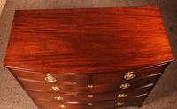 Bowfront Chest of Drawers Early 19 Century in Mahogany from England (11 of 11) Bowfront Chest of Drawers Early 19 Century in Mahogany from England (11 of 11)