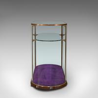 Large Antique Glazed Display Cabinet, English, Bronze, Shop, Showcase, Edwardian (5 of 12) Large Antique Glazed Display Cabinet, English, Bronze, Shop, Showcase, Edwardian (5 of 12)