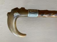 19th Century Horn Handled Walking Stick with White Metal Mounts & Collar (4 of 9) 19th Century Horn Handled Walking Stick with White Metal Mounts & Collar (4 of 9)