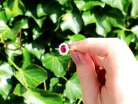 1.03ct Thai Ruby & 0.28ct Diamond, 18ct Yellow Gold Cluster Ring c.1930 (2 of 12) 1.03ct Thai Ruby & 0.28ct Diamond, 18ct Yellow Gold Cluster Ring c.1930 (2 of 12)