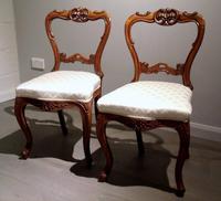 Pair of 19th Century Carved Satinwood Balloon Back Chairs (2 of 9) Pair of 19th Century Carved Satinwood Balloon Back Chairs (2 of 9)