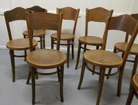 Harlequin Set of 8 French Bistro or Cafe Bentwood Chairs (3 of 7) Harlequin Set of 8 French Bistro or Cafe Bentwood Chairs (3 of 7)