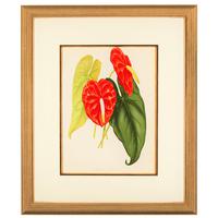 Architectural 'Anthurium Andreanum' Chromolithograph 1871-1881 (3 of 4) Architectural 'Anthurium Andreanum' Chromolithograph 1871-1881 (3 of 4)