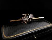 Victorian Beetle Brooch, Moonstone, Diamond, Ruby & Garnet, 15ct Gold, Boxed (5 of 12) Victorian Beetle Brooch, Moonstone, Diamond, Ruby & Garnet, 15ct Gold, Boxed (5 of 12)