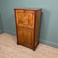 Regency Mahogany Antique Estate Cupboard with Fitted Interior (5 of 8) Regency Mahogany Antique Estate Cupboard with Fitted Interior (5 of 8)