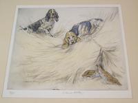 Hunting Dogs Field Spaniles G Vernon Stokes Signed Limited Edition Grouse (2 of 6) Hunting Dogs Field Spaniles G Vernon Stokes Signed Limited Edition Grouse (2 of 6)