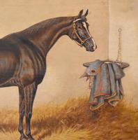 Monarch, Oil Painting of a Horse by William Eddowes Turner (5 of 8) Monarch, Oil Painting of a Horse by William Eddowes Turner (5 of 8)