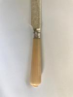 Superb Silver Plated Victorian Wedding Cake Knife (6 of 6) Superb Silver Plated Victorian Wedding Cake Knife (6 of 6)