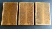 1869 Works of Thomas Carlyle, 10 Volumes Bound in Fine Full Tree Calf Leather (4 of 5) 1869 Works of Thomas Carlyle, 10 Volumes Bound in Fine Full Tree Calf Leather (4 of 5)