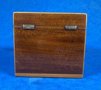 Georgian Single Mahogany Tea Caddy with Inlaid Shell (9 of 12) Georgian Single Mahogany Tea Caddy with Inlaid Shell (9 of 12)