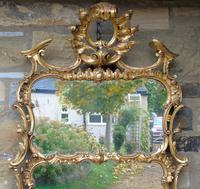 Stunning Twin Plate Rococo Mirror 19th Century (7 of 8) Stunning Twin Plate Rococo Mirror 19th Century (7 of 8)