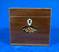 Georgian Single Mahogany Tea Caddy with Inlaid Shell (6 of 12) Georgian Single Mahogany Tea Caddy with Inlaid Shell (6 of 12)
