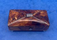 Tortoiseshell Miniature Casket (5 of 10) Tortoiseshell Miniature Casket (5 of 10)