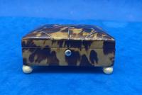 Georgian Pewter Inlaid Tortoiseshell Casket (15 of 15) Georgian Pewter Inlaid Tortoiseshell Casket (15 of 15)