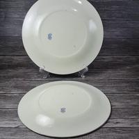 Late 19th Century Pair of Matching Borders Gien French Armorial Plates (13 of 15) Late 19th Century Pair of Matching Borders Gien French Armorial Plates (13 of 15)