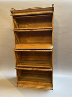 Globe Wernicke Type Bookcase by Lebus (4 of 14) Globe Wernicke Type Bookcase by Lebus (4 of 14)