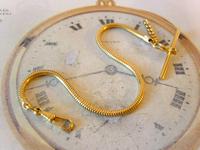 Vintage Pocket Watch Chain 1970s 12ct Gold Plated Snake Link Albert With T Bar (2 of 7) Vintage Pocket Watch Chain 1970s 12ct Gold Plated Snake Link Albert With T Bar (2 of 7)