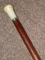 Antique Faux Ivory Pommel Topped Rosewood Walking Stick / Cane (8 of 13) Antique Faux Ivory Pommel Topped Rosewood Walking Stick / Cane (8 of 13)