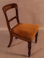 Set of 8 William IV Dining Chairs Mahogany (8 of 12) Set of 8 William IV Dining Chairs Mahogany (8 of 12)