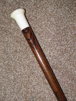 Antique Rosewood Walking Stick / Cane with Pommel Handle Top (7 of 11) Antique Rosewood Walking Stick / Cane with Pommel Handle Top (7 of 11)