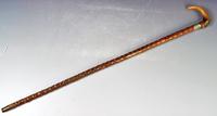 19th Century Horn Handled Walking Stick with White Metal Mounts & Collar (6 of 9) 19th Century Horn Handled Walking Stick with White Metal Mounts & Collar (6 of 9)