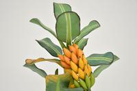 Vintage South Amercian Carved Wood Banana Tree Sculpture (4 of 10) Vintage South Amercian Carved Wood Banana Tree Sculpture (4 of 10)