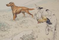 Gun Dogs Hunting G Vernon Stokes Signed Limited Edition Spaniel (2 of 7) Gun Dogs Hunting G Vernon Stokes Signed Limited Edition Spaniel (2 of 7)