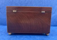Georgian Mahogany Tea Caddy with Harewood Floral Panels (7 of 13) Georgian Mahogany Tea Caddy with Harewood Floral Panels (7 of 13)