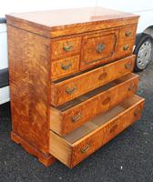 Beautiful 1880's Satin Birch Chest Drawers (5 of 6) Beautiful 1880's Satin Birch Chest Drawers (5 of 6)