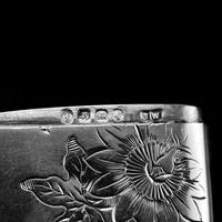 Antique Victorian Solid Silver Vesta Case Aesthetic Style Engravings - Joseph Whitten 1885 (6 of 9) Antique Victorian Solid Silver Vesta Case Aesthetic Style Engravings - Joseph Whitten 1885 (6 of 9)