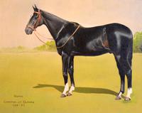 Horse oil painting 'Victor' by L Mallender (8 of 8) Horse oil painting 'Victor' by L Mallender (8 of 8)