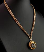 Victorian Agate Snake Pendant, Pinchbeck Albert Chain (3 of 12) Victorian Agate Snake Pendant, Pinchbeck Albert Chain (3 of 12)