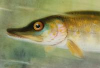 Royal Worcester Hand Painted Cabinet Plate with A Pike by George B Johnson Dated 1921 (4 of 14) Royal Worcester Hand Painted Cabinet Plate with A Pike by George B Johnson Dated 1921 (4 of 14)