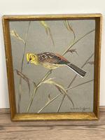 Watercolour "Yellowhammer" Passerine Bird Study By Rolston Gudgeon RSW (8 of 34) Watercolour "Yellowhammer" Passerine Bird Study By Rolston Gudgeon RSW (8 of 34)
