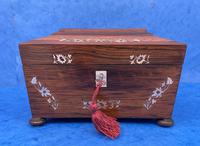 William IV Rosewood, Mother of Pearl Inlaid Twin Tea Caddy (3 of 8) William IV Rosewood, Mother of Pearl Inlaid Twin Tea Caddy (3 of 8)