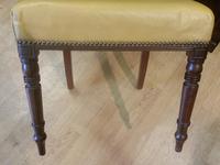 Set of 6 Regency Period Mahogany Dining Chairs (5 of 6) Set of 6 Regency Period Mahogany Dining Chairs (5 of 6)