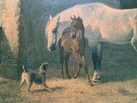 Aft: Emil Volkers Beautiful Vintage Framed Equestrian Print On Board (6 of 12) Aft: Emil Volkers Beautiful Vintage Framed Equestrian Print On Board (6 of 12)