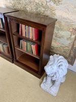 Pair of Late Victorian Mahogany Bookcases (5 of 5) Pair of Late Victorian Mahogany Bookcases (5 of 5)