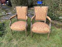 Pair of French Armchairs in Original Paint Finish (10 of 10) Pair of French Armchairs in Original Paint Finish (10 of 10)