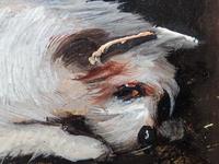 Pair of Victorian 19th Century Oil Paintings Terrier Dogs Ratting Signed J Langlois (9 of 35) Pair of Victorian 19th Century Oil Paintings Terrier Dogs Ratting Signed J Langlois (9 of 35)