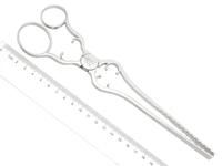 Sterling Silver Asparagus Tongs - Antique Victorian 1889 (9 of 9) Sterling Silver Asparagus Tongs - Antique Victorian 1889 (9 of 9)
