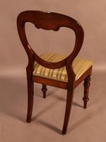 Set of 12 Victorian Mahogany Balloon Back Dining Chairs fully restored (3 of 11) Set of 12 Victorian Mahogany Balloon Back Dining Chairs fully restored (3 of 11)