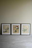 3 x Chinese Botanical Watercolours (12 of 12) 3 x Chinese Botanical Watercolours (12 of 12)