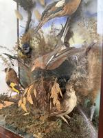 Item Additional Image