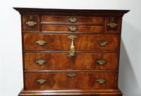 Outstanding Burr Walnut Chest of Drawers on Stand (2 of 14) Outstanding Burr Walnut Chest of Drawers on Stand (2 of 14)