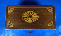 Georgian Mahogany Fan Inlaid Tea Caddy (10 of 16) Georgian Mahogany Fan Inlaid Tea Caddy (10 of 16)
