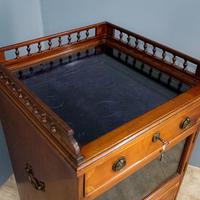 Display cabinet and chest (3 of 10) Display cabinet and chest (3 of 10)